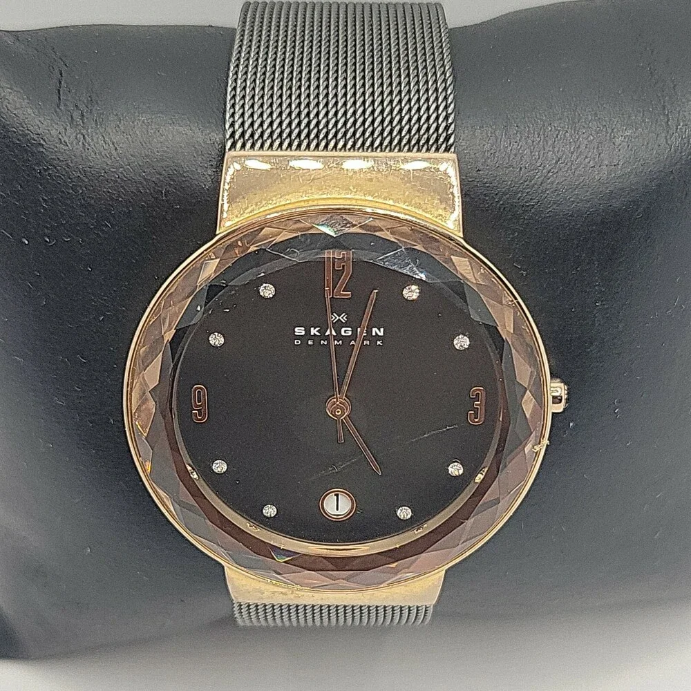 Skagen SKW2120 Women's Stainless Steel Mesh Analog Dial Quartz Wrist Watch AM613
